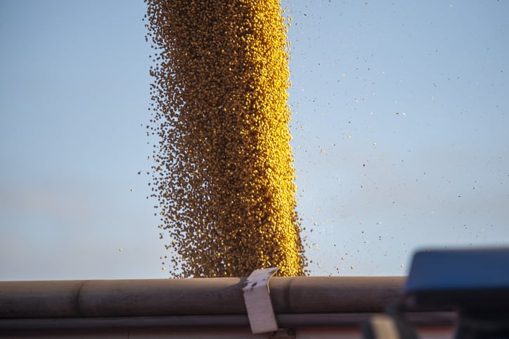 Princes claims ‘industry-first’ human rights assessment on Argentinian pulses