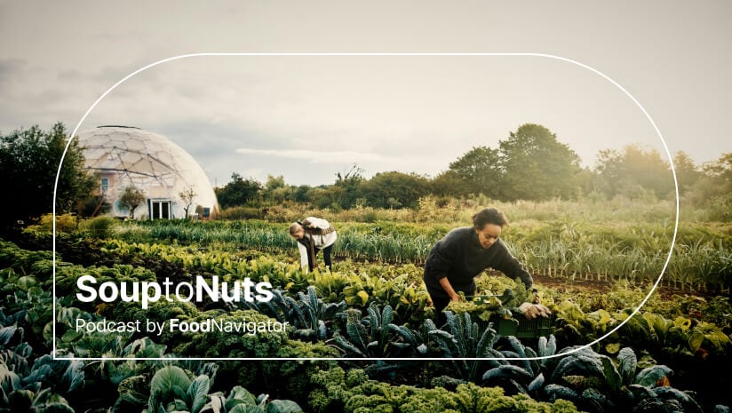 2025 sustainability trends: Food players ‘pump breaks’ on environmental goals