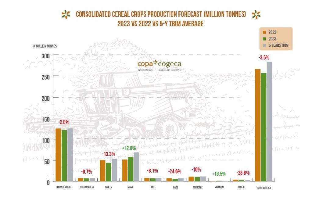 cereal-crops-copa-and-cogeca.jpg