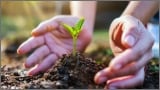 ADM’s Local Sourcing Enriches Product Innovation Field