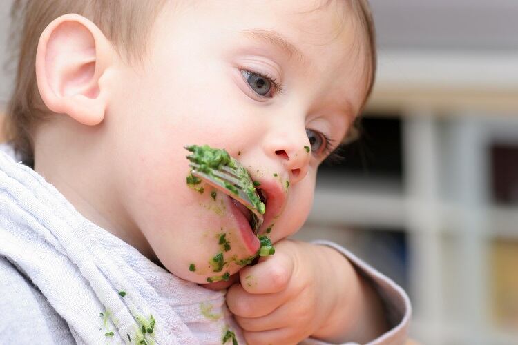 Organix eyes ‘window of opportunity’ to introduce new flavours and textures to kids