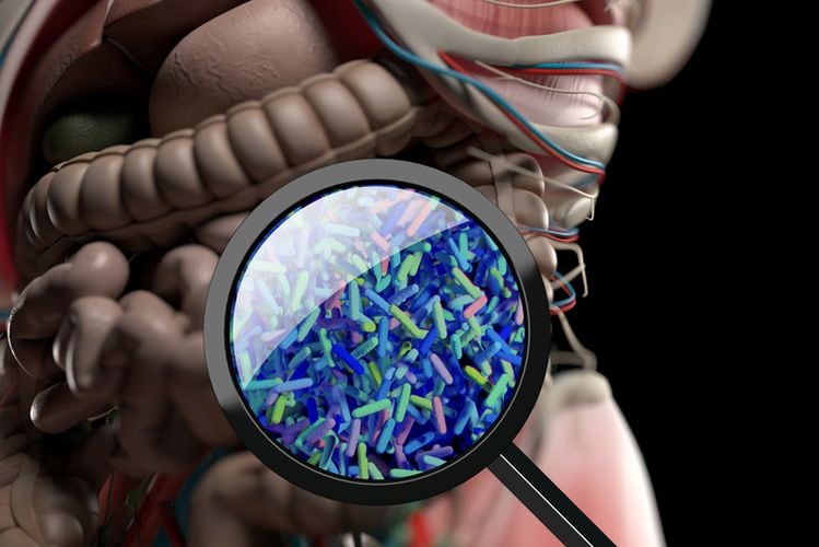 Postbiotics-an-emerging-trend-in-functional-foods-and-beverages-In-conversation-with-ADM.jpg