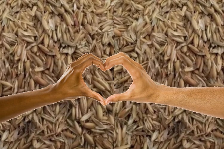 Fazer introduces world’s first – and possibly most sustainable – xylitol made from Nordic oats
