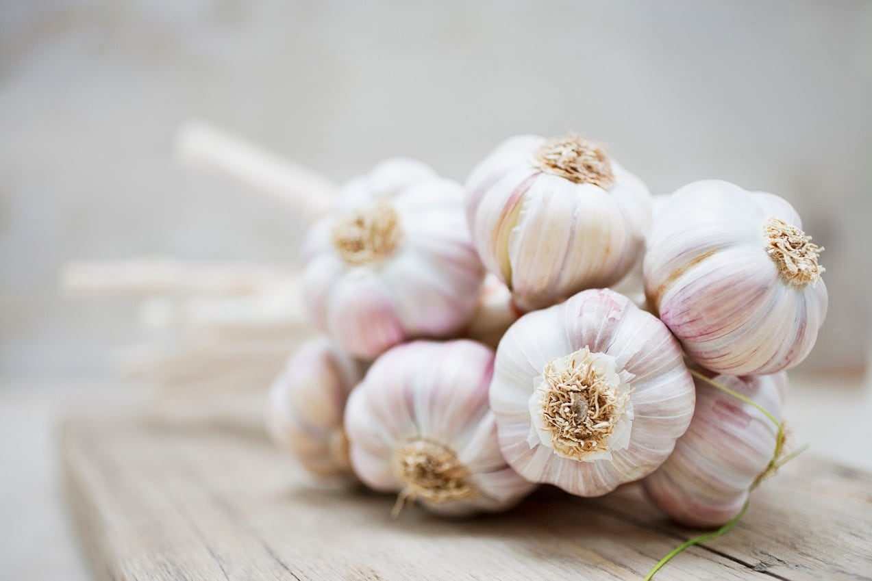 Brightseed-Olam-partner-to-unlock-novel-bioactives-in-pepper-garlic.jpg