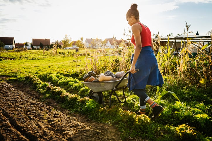 Organic vs regenerative: A classic case of ‘frenemies’ pushing each other to do better?