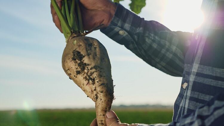 Industry insights from NIZO: Sustainable fractionation and the future of food