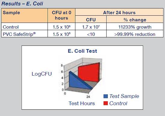 Steritouch-E.coli.jpg