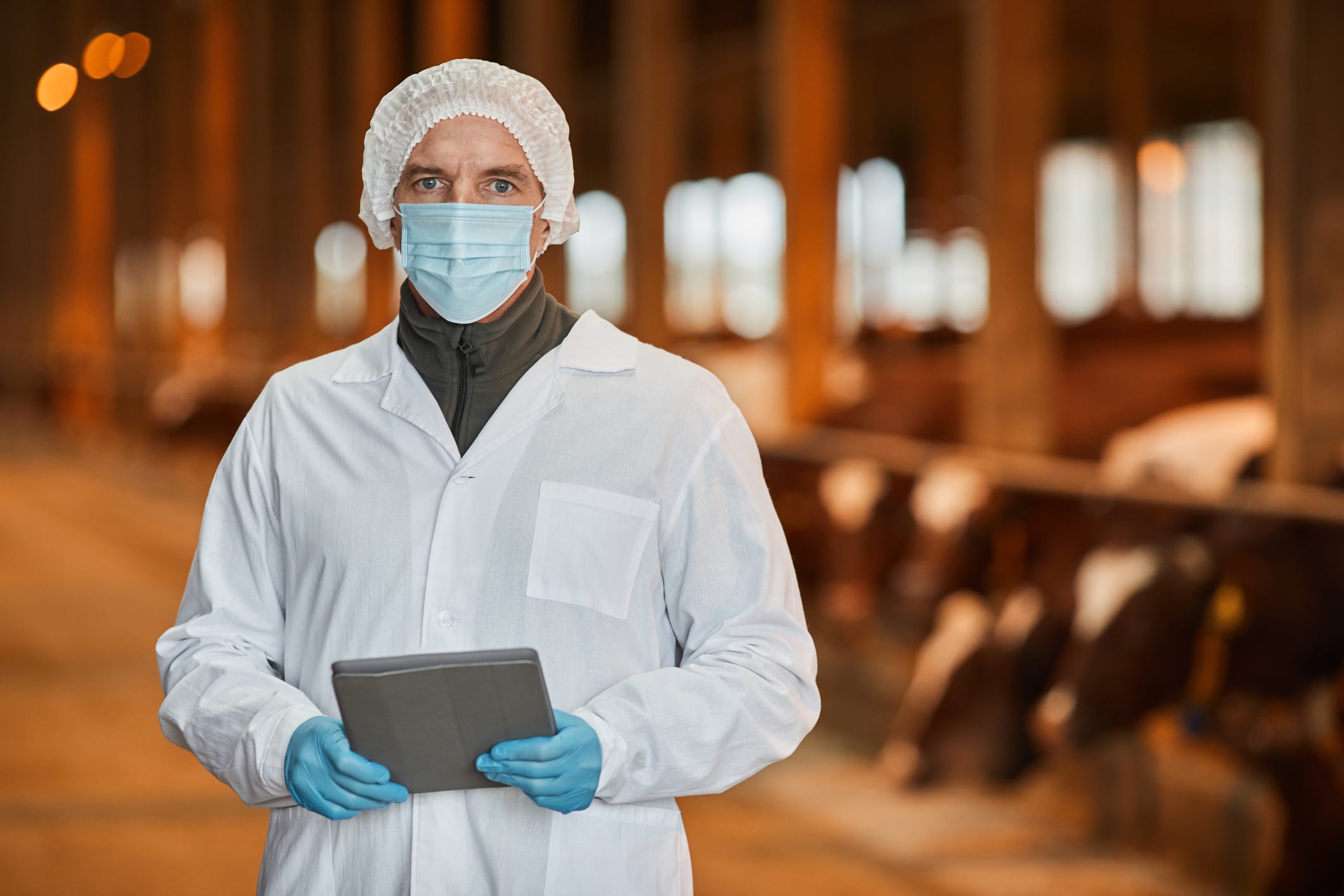 Dire costs: Germany must contain foot-and-mouth disease