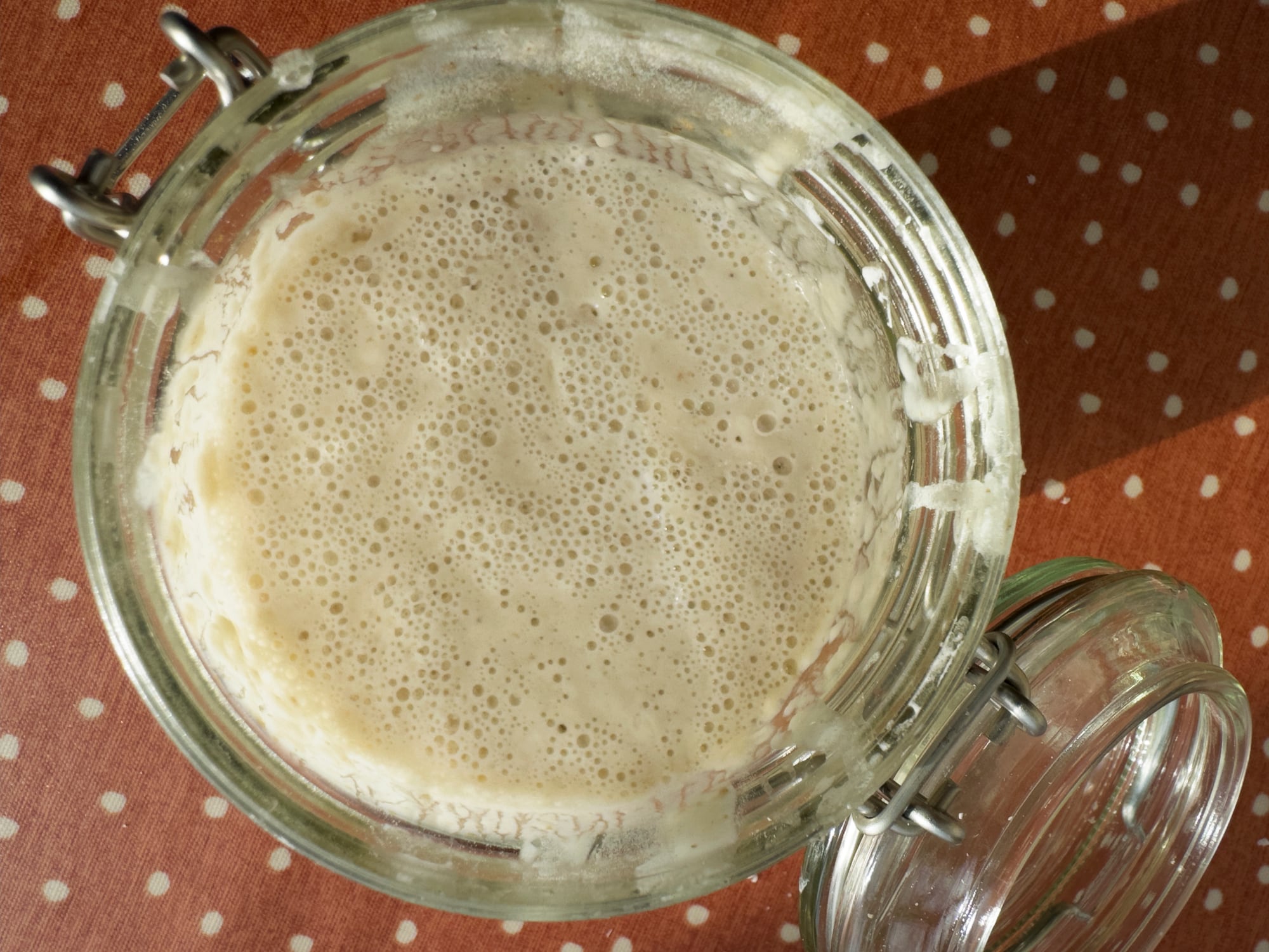 sourdough starter in jar showing fermentation bubbles
