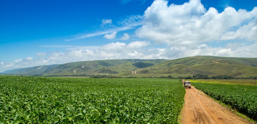 CGF: Mobilizing local action is key to stopping soy deforestation