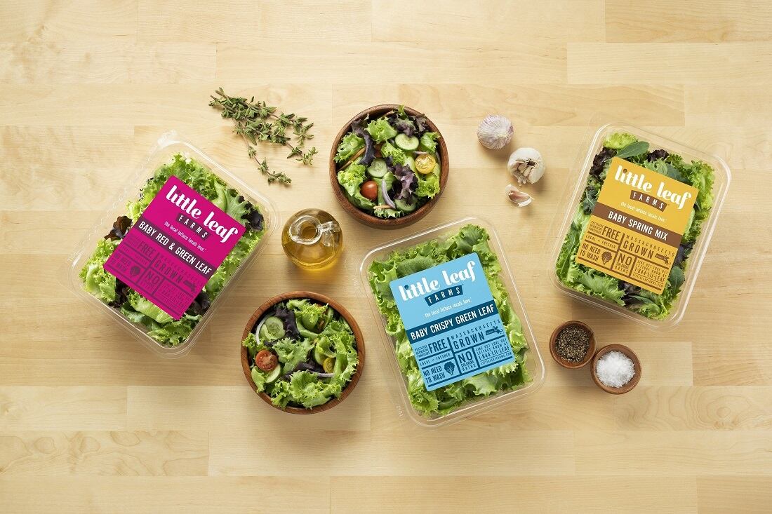 Little-Leaf-Farms-captures-42-of-indoor-grown-leafy-greens-retail-sales.jpg