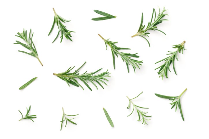 EU-to-tighten-rules-to-prevent-misleading-use-of-plant-extracts.jpg