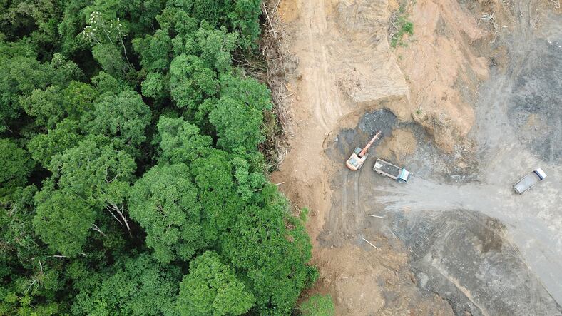 Campaign-group-puts-more-pressure-on-JBS-and-Cargill-to-address-deforestation.jpg