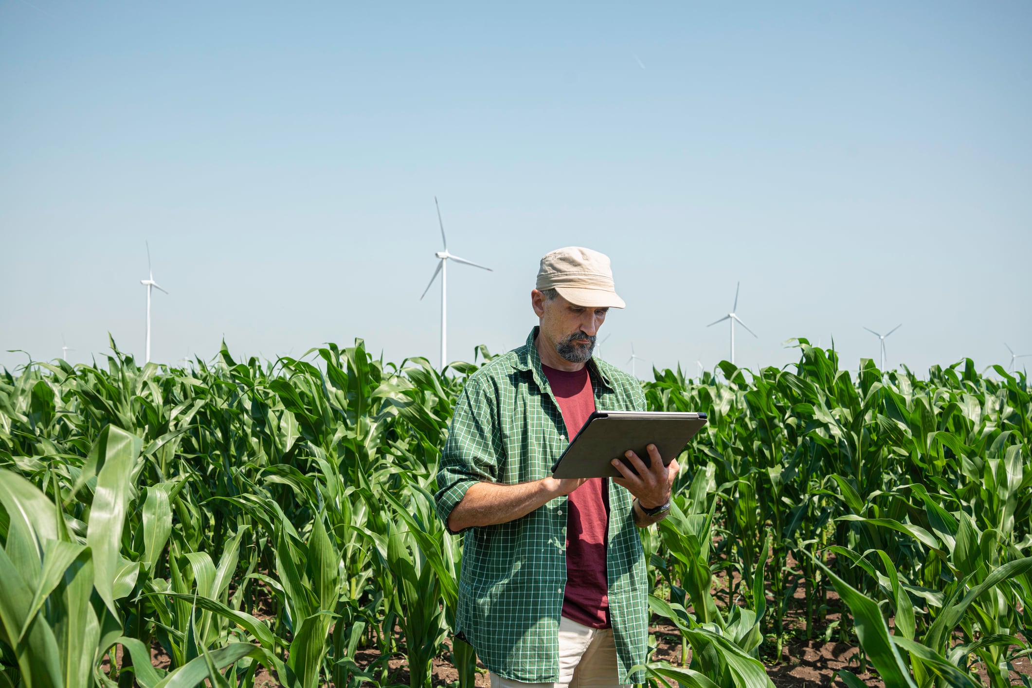 AI critical to cutting food and drink labour costs