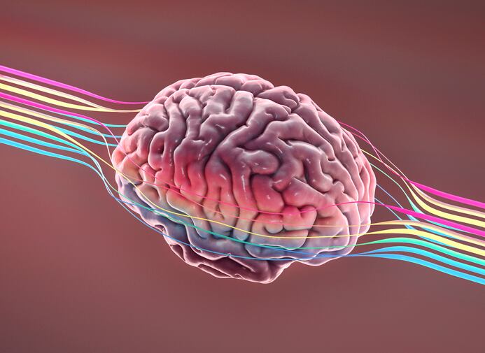 Brain health emerges as a ‘key health priority for Europeans’