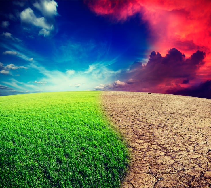 Climate change is making our food less safe: FAO