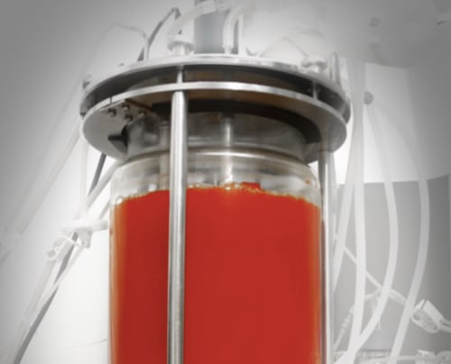 New-astaxanthin-player-debuts-armed-with-dark-fermentation-patent.jpg