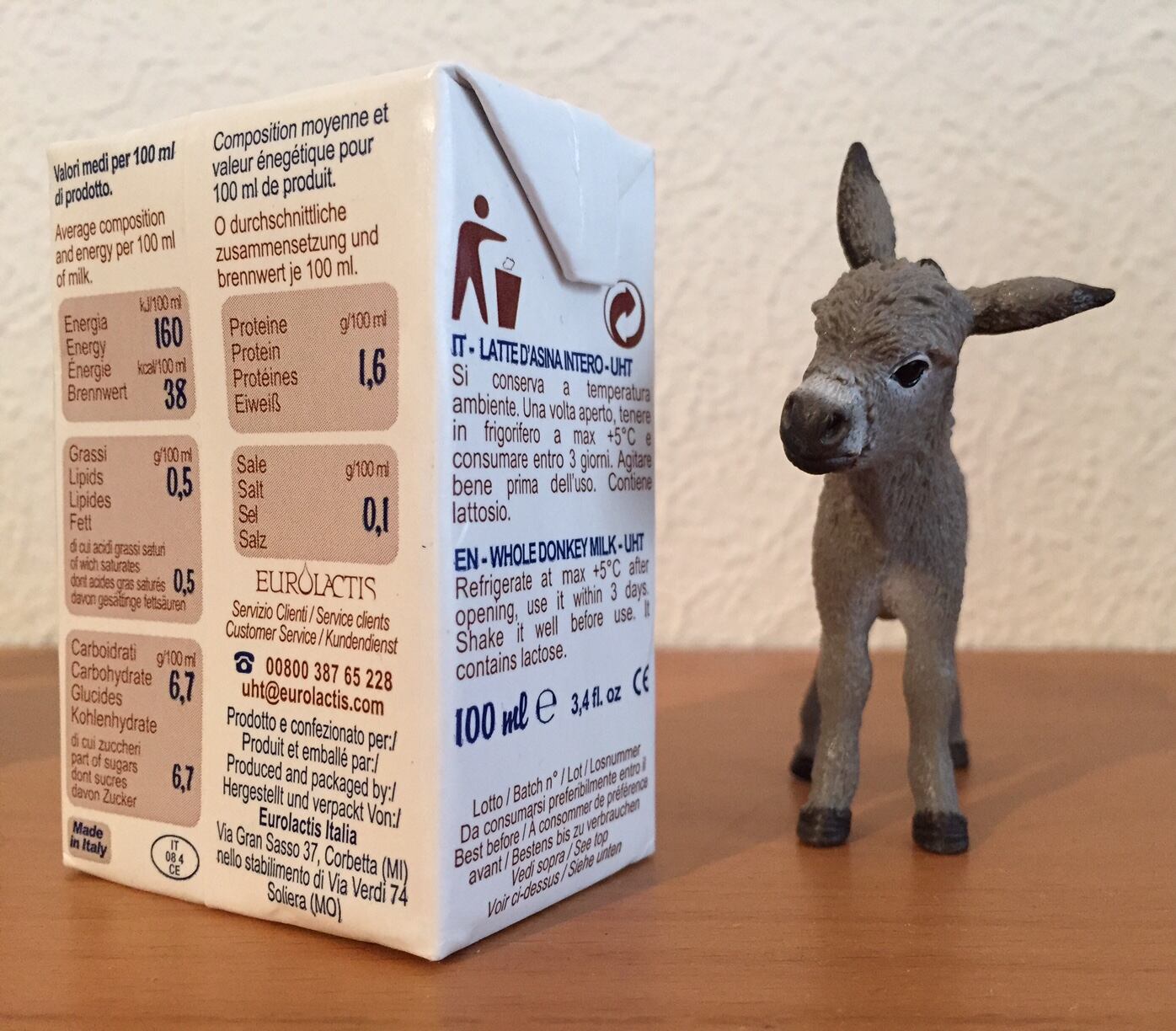 donkey-3.jpg