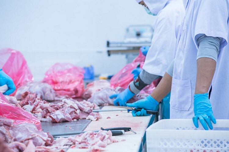 Labour shortages continue to hinder the meat industry