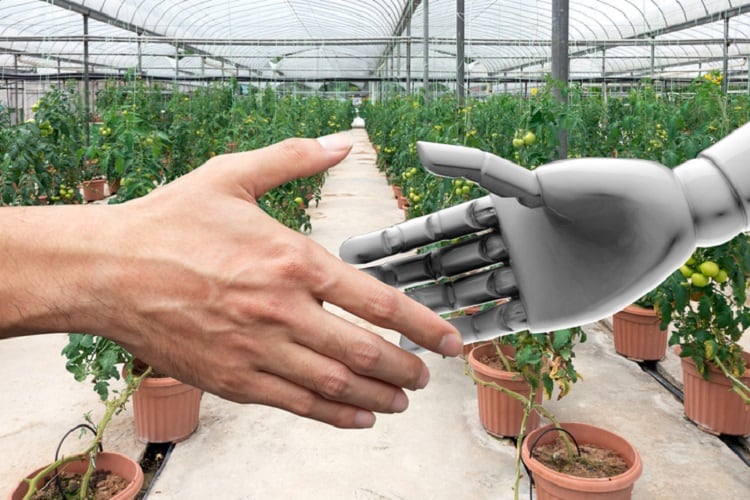 ‘Our world is entering a fourth agricultural revolution’, says UK environment secretary