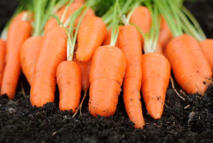 From-compost-to-cakes-Carrot-pulp-flour-gives-healthy-reformulation-green-credentials.jpg