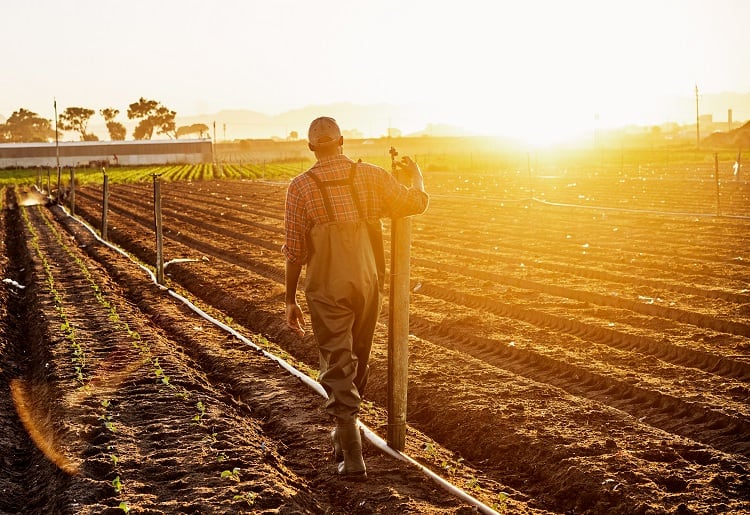 How do we measure the success of regenerative agriculture?