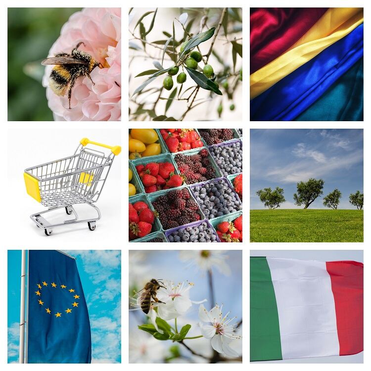 Brussels Bulletin: Pro-NutriScore group calls for ‘single official labelling system’ 