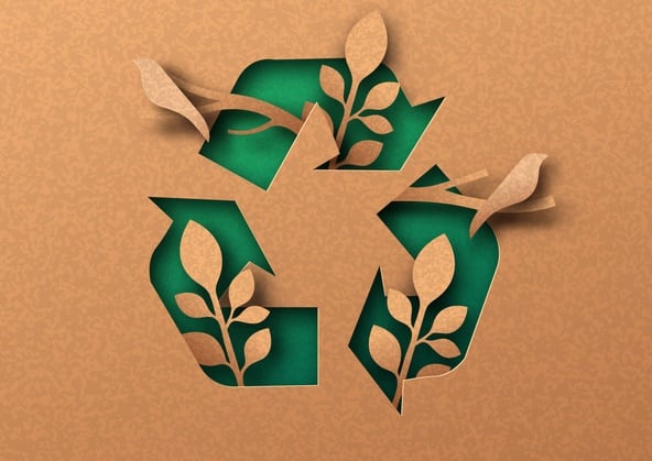 Navigating the EU packaging legislation: key insights for sports foods businesses