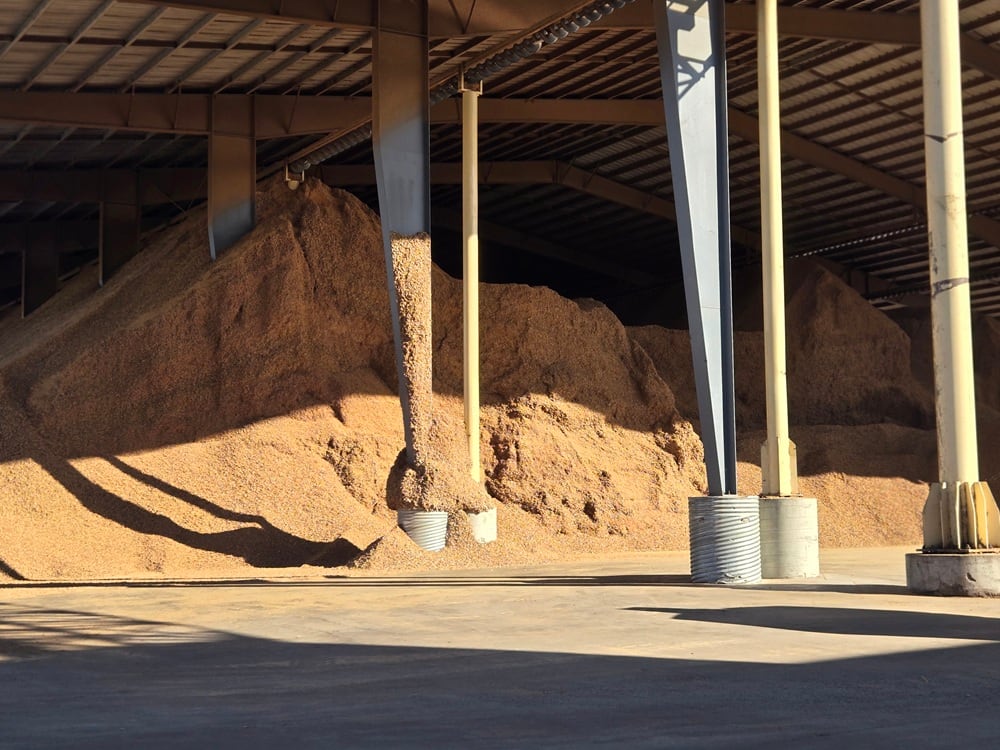 Almond hulls, the fleshy outer layer that surrounds almonds as they grow, could soon become a fiber-rich food ingredient after an independent expert panel determined almond hull powder is Generally Recognized As Safe (GRAS).