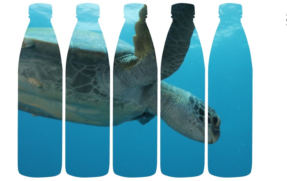 ZenWTR-goes-plastic-negative-on-mission-to-reverse-global-plastic-crisis.jpg