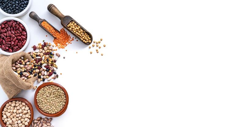 Alternative protein research hub to be opened in UK