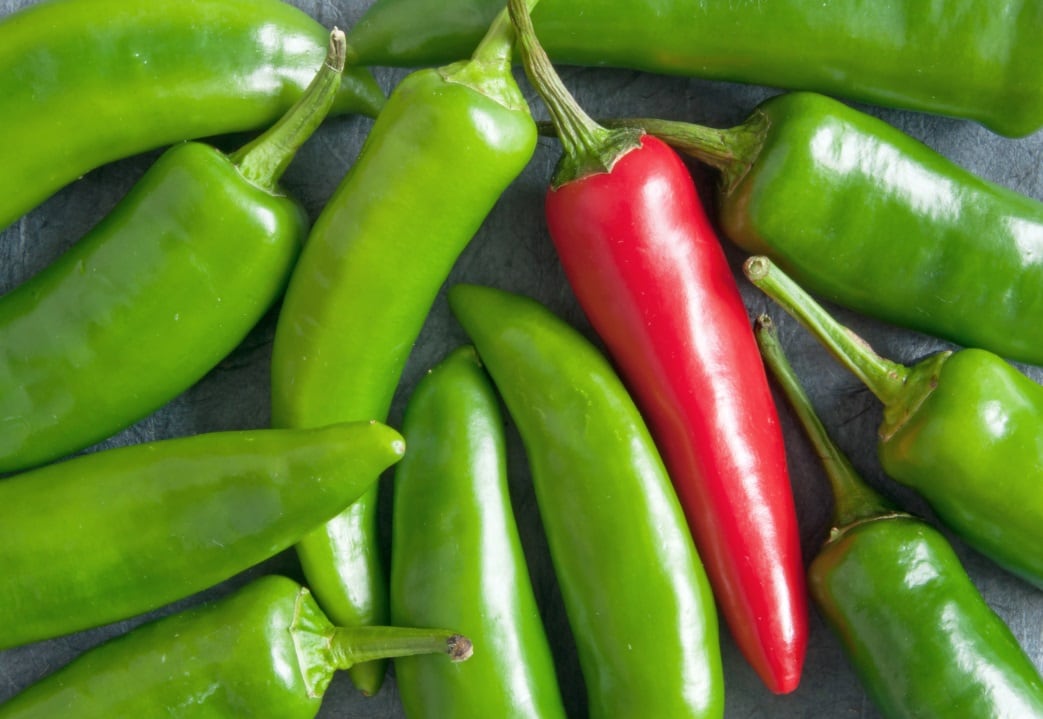 Deep dive: Six mega-trends shaping innovation in flavours and colours