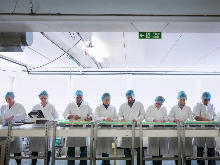 NPD Trend Tracker: From non-HFSS pizza to ‘plastic negative’ chocolate