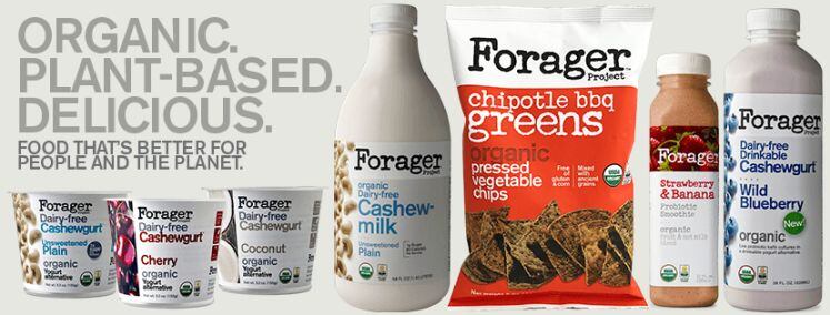 Forager-Project-poster.jpg