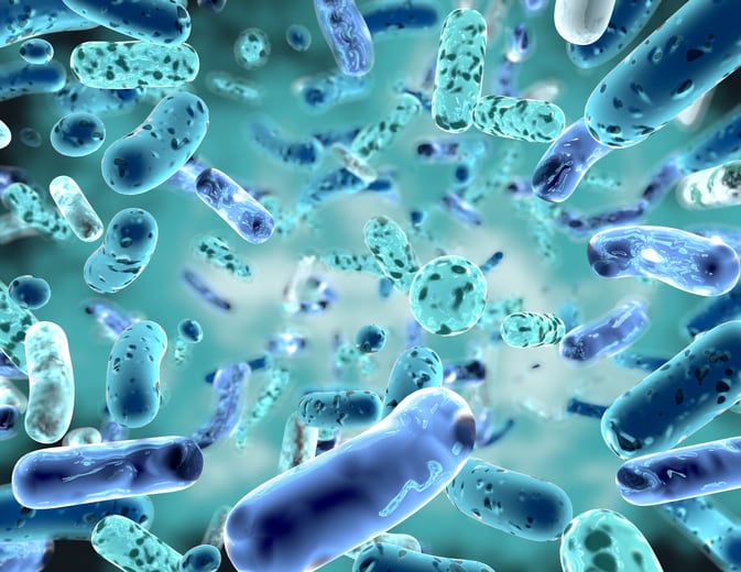 Review-Postbiotics-show-promise-even-if-method-of-action-is-unclear.jpg