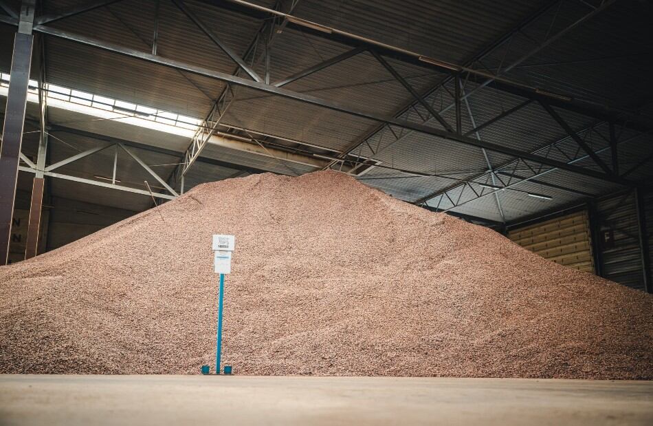 cocoa-beans-cargill-IAP-Nestle.jpg