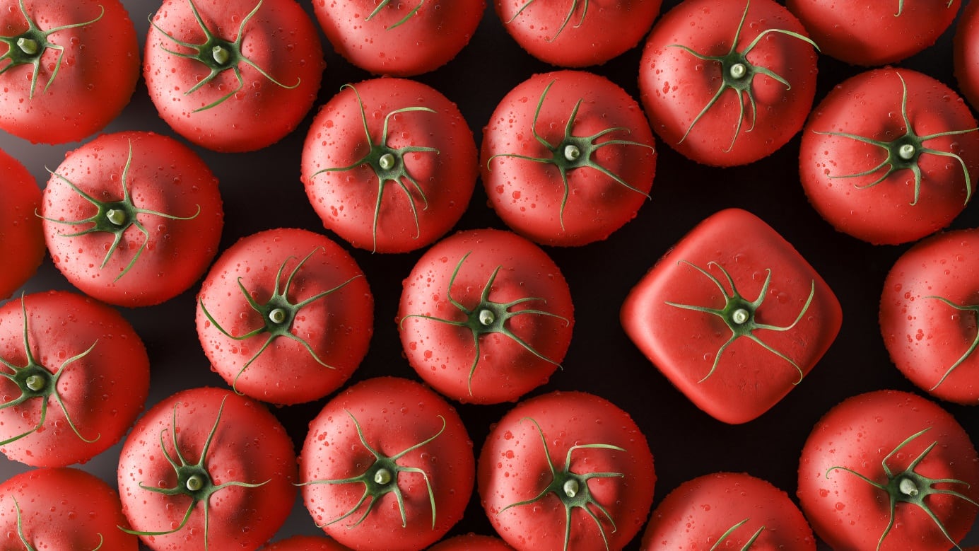 Innovation square tomato