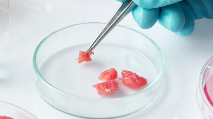 Cell-cultured meat: Can yeast-based protein hydrolysates target nutritional specificity?