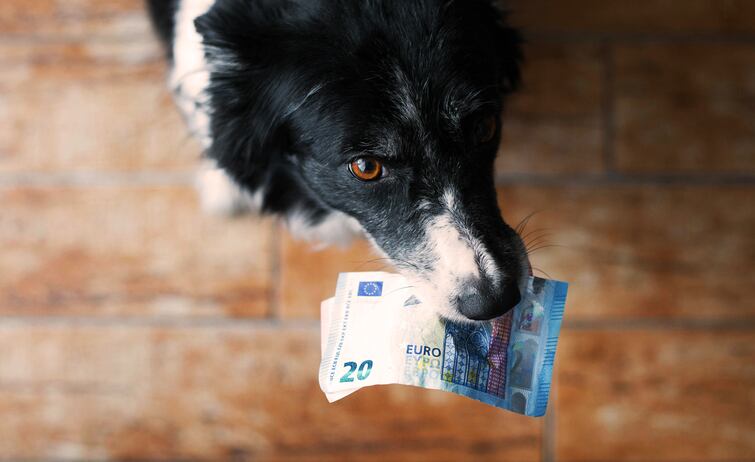 FEDIAF annual congress: Prioritizing pet food in EU regulations