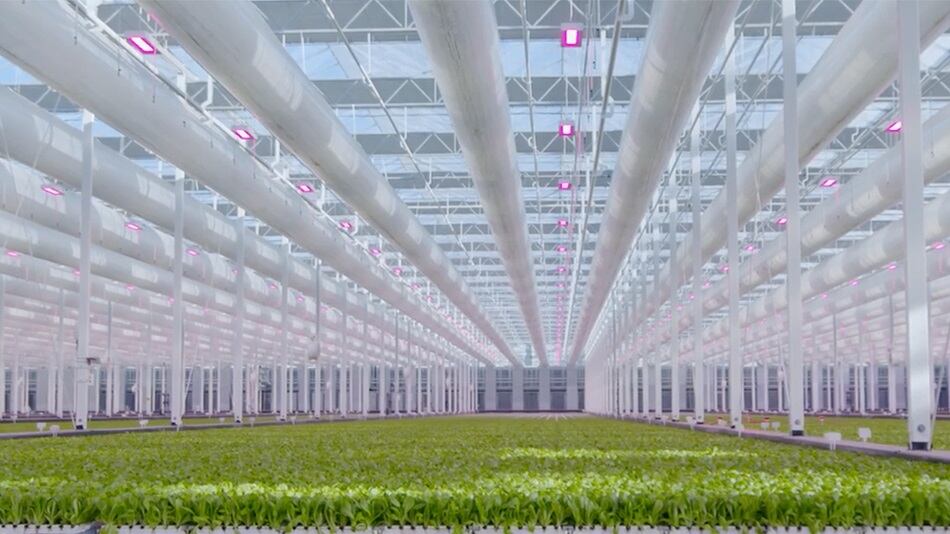 Revol-Greens-to-double-indoor-farming-footprint.jpg