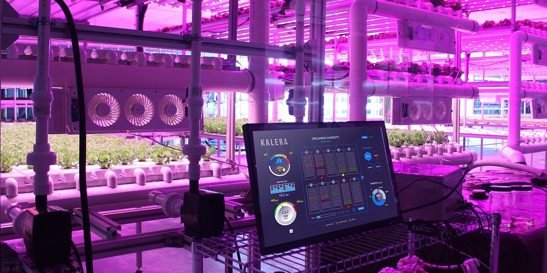 Kalera ramps up indoor vertical farming footprint and scale in 2022: 'The company is well positioned to fully exploit its US footprint,' says interim CEO