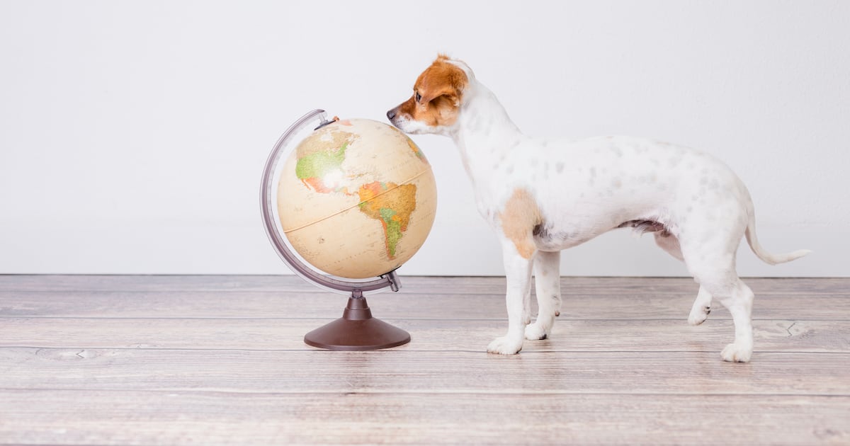 Pet food sustainability Pet food sustainability