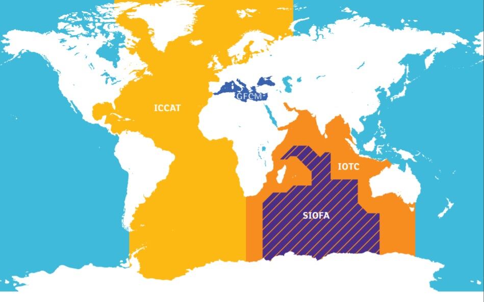 map.jpg