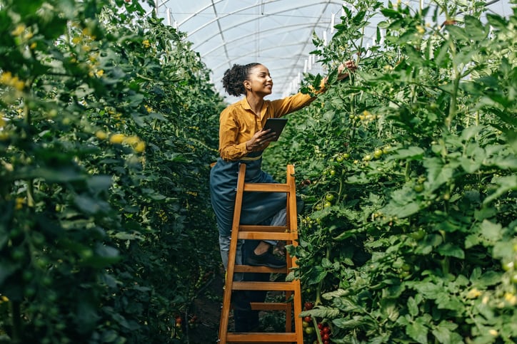 OTA’s Farm Bill wish list focuses on creating responsive organic standards, reinforcing organic supply chains and enhancing conservation