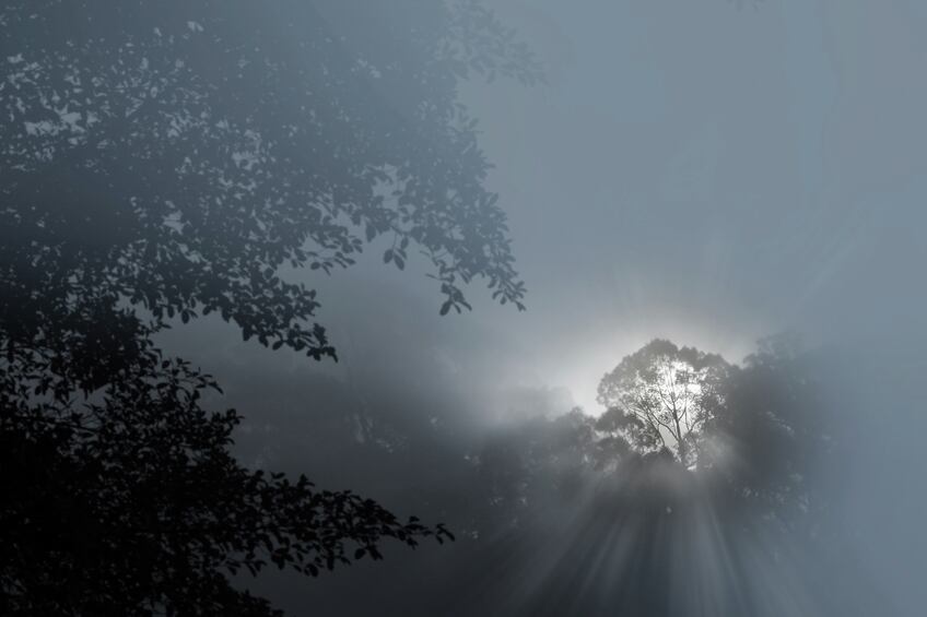indonesian-haze-forest-fire-pollution-Droits-d-auteur-chokchaipoomichaiya.jpg