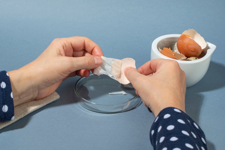 Sustainability mission leads to eggshell-derived veggie collagen