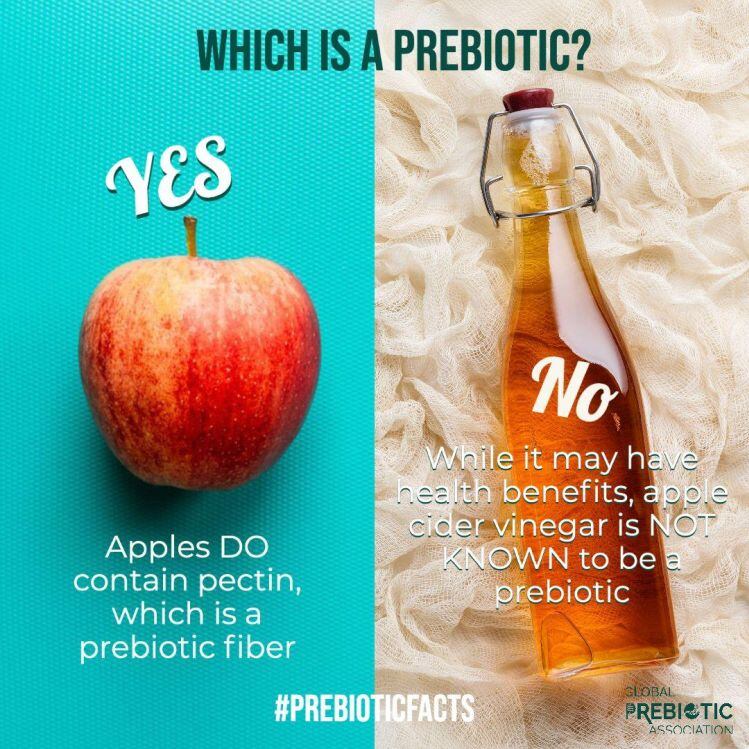 prebiotic-apple-cide-vinegar-vs-apple.jpg