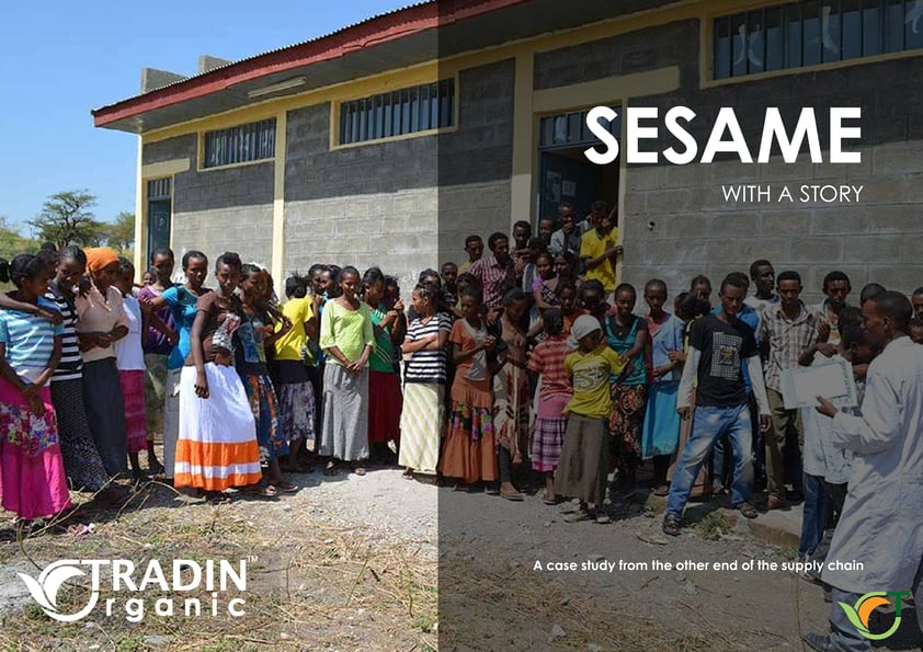 Organic Sesame Seeds – With a Story