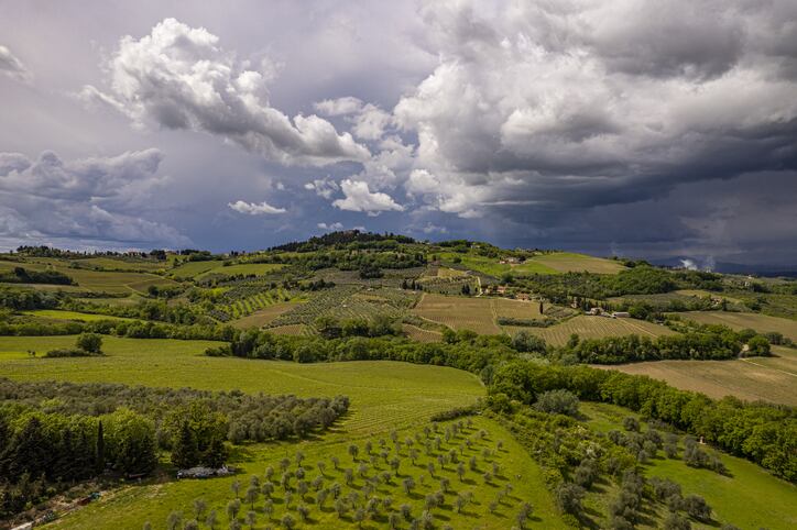 Global wine production down 9.6% as extreme climatic conditions ‘severely impact’ vineyards