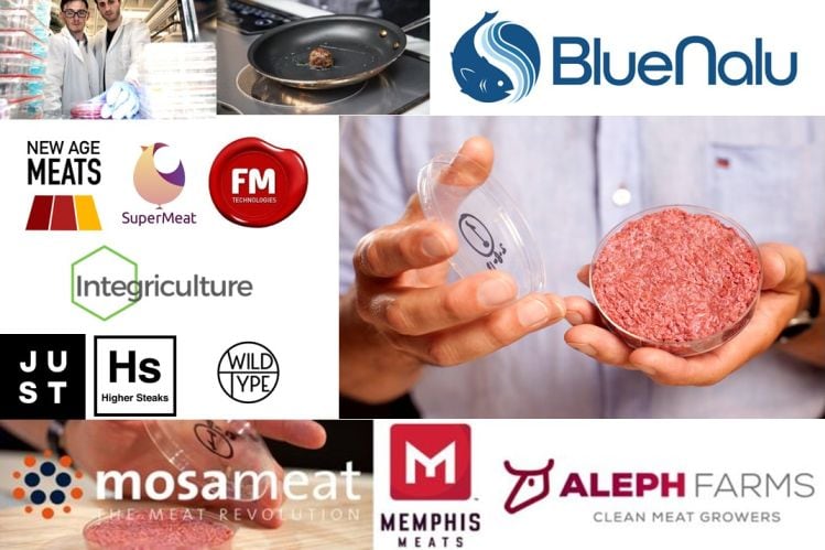 Antibiotic-free claims, followed by animal welfare, are the top consumer drivers for cell-based meat, says Mattson 